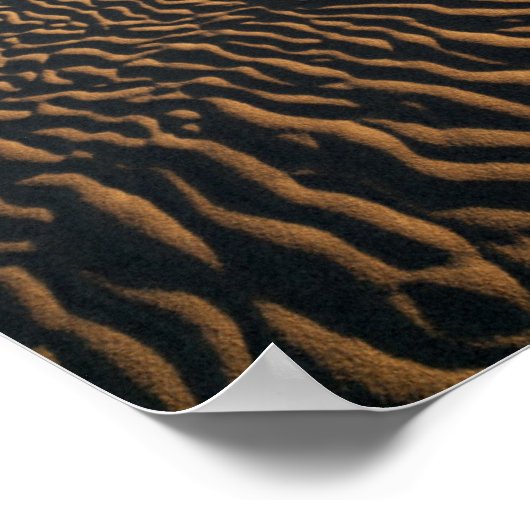 Poster Dunes de sable dans Death Valley, CA (Coin)