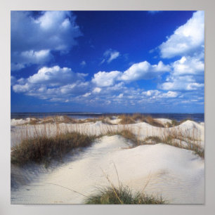 Poster Dunes des banques extérieures