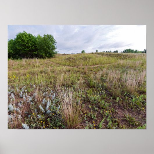 Poster dunes gris paysage de prairie (Devant)