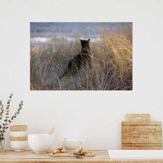 Poster Dunes Kitty (Cuisine)