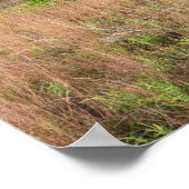 Poster dunes nuageuses grises et paysages lacustres (Coin)