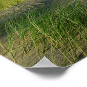 Poster Dunes sur la mer du Nord (Coin)
