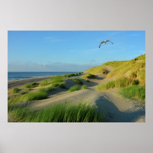 Poster Dunes sur la mer du Nord (Devant)