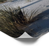 Poster Dunes transversales et Yucca à feuilles de savon (Coin)