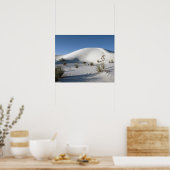 Poster Dunes transversales et Yucca à feuilles de savon (Cuisine)