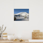 Poster Dunes transverses et soaptree Yucca (Cuisine)