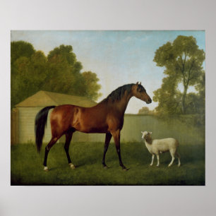 Poster Dungannon, propriété du colonel O'Kelly