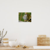 Poster Dunnock (Cuisine)