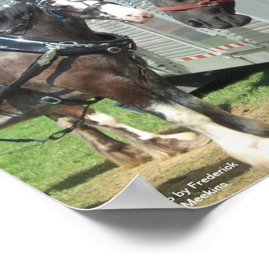 Poster Duo à cheval (Coin)