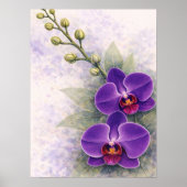 Poster Duo de fleurs d'orchidée pourpre Botanique (Devant)