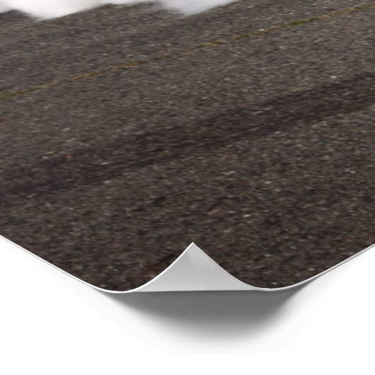 Poster Dupindermach1 (Coin)