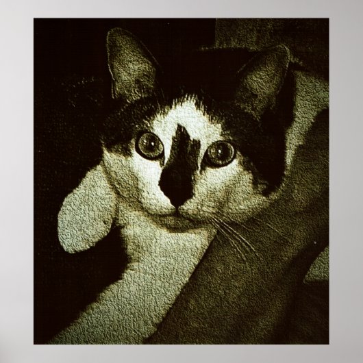 Poster Dur à cuire. (Devant)