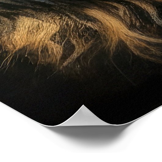 Poster Dur Pastel Dessin Cocker Spaniel (Coin)