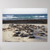 Poster Dure journée dans le surf (Devant)