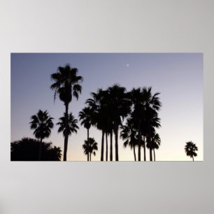 Poster Dusk avec palmiers Scène tropicale