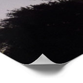 Poster Dusk avec palmiers Scène tropicale (Coin)