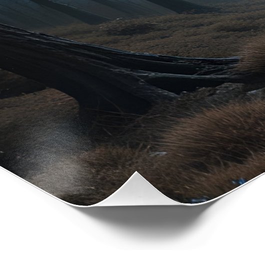 Poster Dusk brodé Ethereal (Coin)