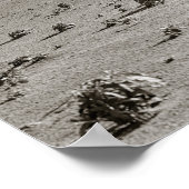 Poster Dust Bowl Farm, 1938. Photo vintage (Coin)