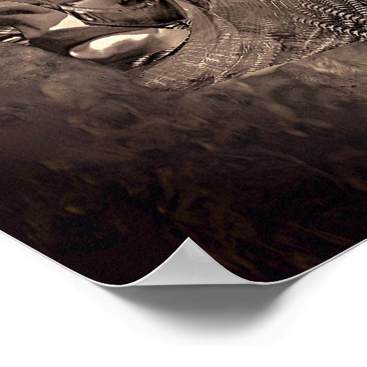 Poster Duster (impression) (Coin)