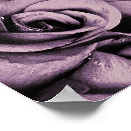 Poster Dusty Mauve Floral Rose Rustic Bois de siège graph (Coin)