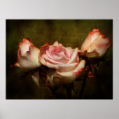 Poster Dusty Rose Stretch Imprimer (Devant)