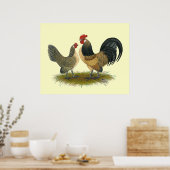 Poster Dutch Bantam : Quail bleu (Cuisine)