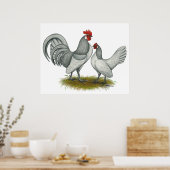 Poster Dutch Bantam : Self Blue (Cuisine)