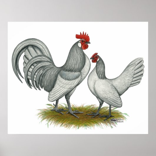 Poster Dutch Bantam : Self Blue (Devant)