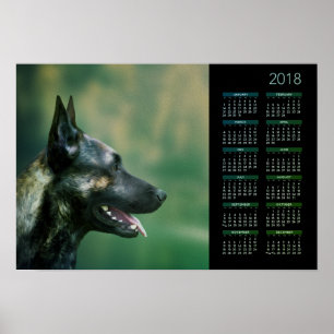 Poster Dutch Shepherd - Calendrier néerlandais 2018