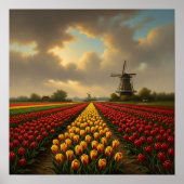 Poster Dutch Tulip Fields (Devant)