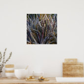 Poster Dyckia délice (Cuisine)