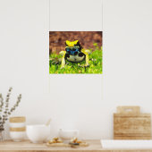Poster Dyeing Poison Frog, Dendrobates tinctorius, (Cuisine)