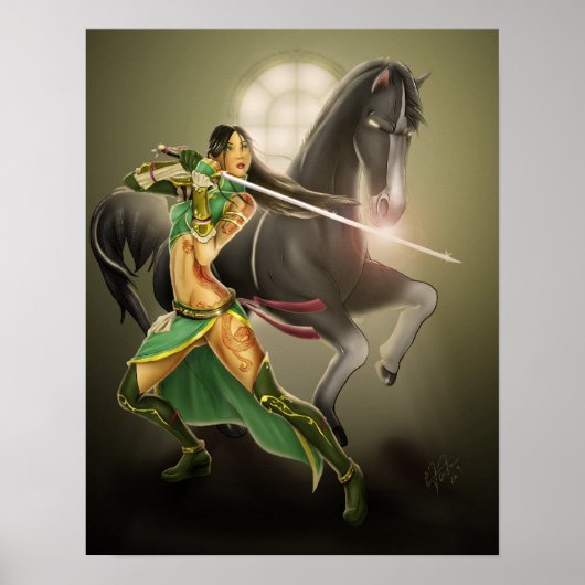 Poster Dynasty Warrior (Devant)