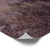 Poster E19 Tines à double goutte d'Elk Bull (Coin)