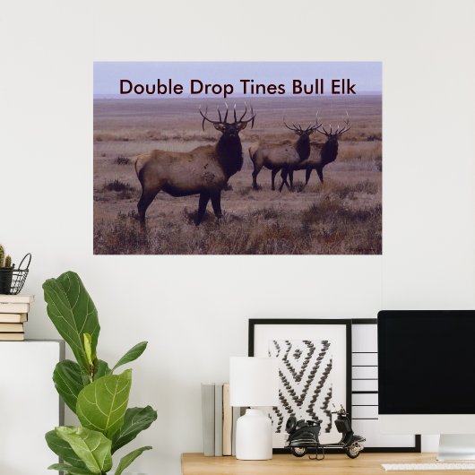 Poster E19 Tines à double goutte d'Elk Bull (Bureau à domicile)