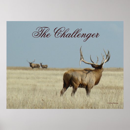 Poster E20 Wapiti Challenger (Devant)