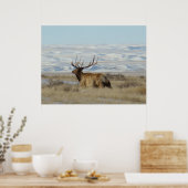 Poster E22 Bull Elk Snowy Hills (Cuisine)