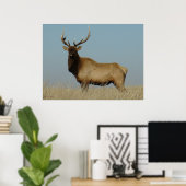 Poster E43 Young Bull Elk (Bureau à domicile)