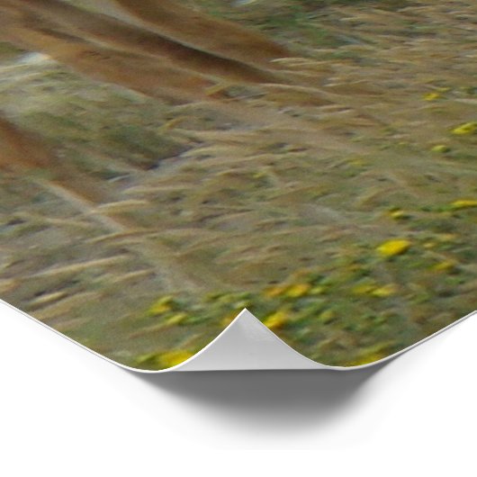 Poster E44 Elcs et veaux de vache (Coin)