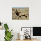 Poster E55 Élan mâle (Bureau à domicile)