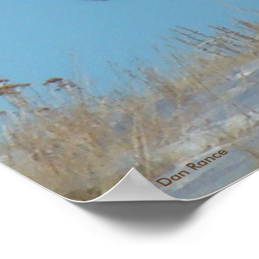 Poster E62 Bull Elk Sky Lined (Coin)