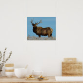 Poster E62 Bull Elk Sky Lined (Cuisine)