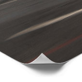 Poster E-2C Hawkeye (Coin)