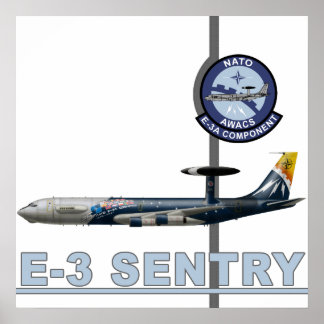 Poster E-3 Sentry Print