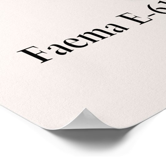 Poster E-61 50e anniversaire 24"x36" (Coin)