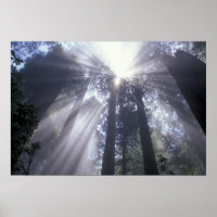 É.-U., Californie. Del Norte Coast State 2