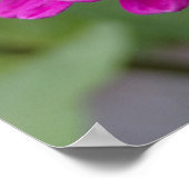 Poster É.-U., Massachusetts, Boylston, Tower Hill (Coin)