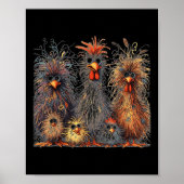 Poster Eagerlys Coloré Funny Chicken Art (Devant)