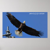 Poster Eagle (Devant)