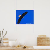Poster Eagle against a blue sky (Cuisine)